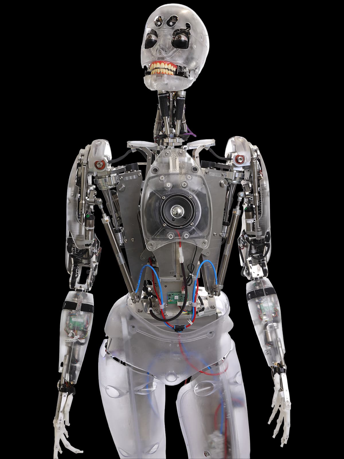 Used Engineered Arts Engineered Arts Mesmer Humanoid Robot