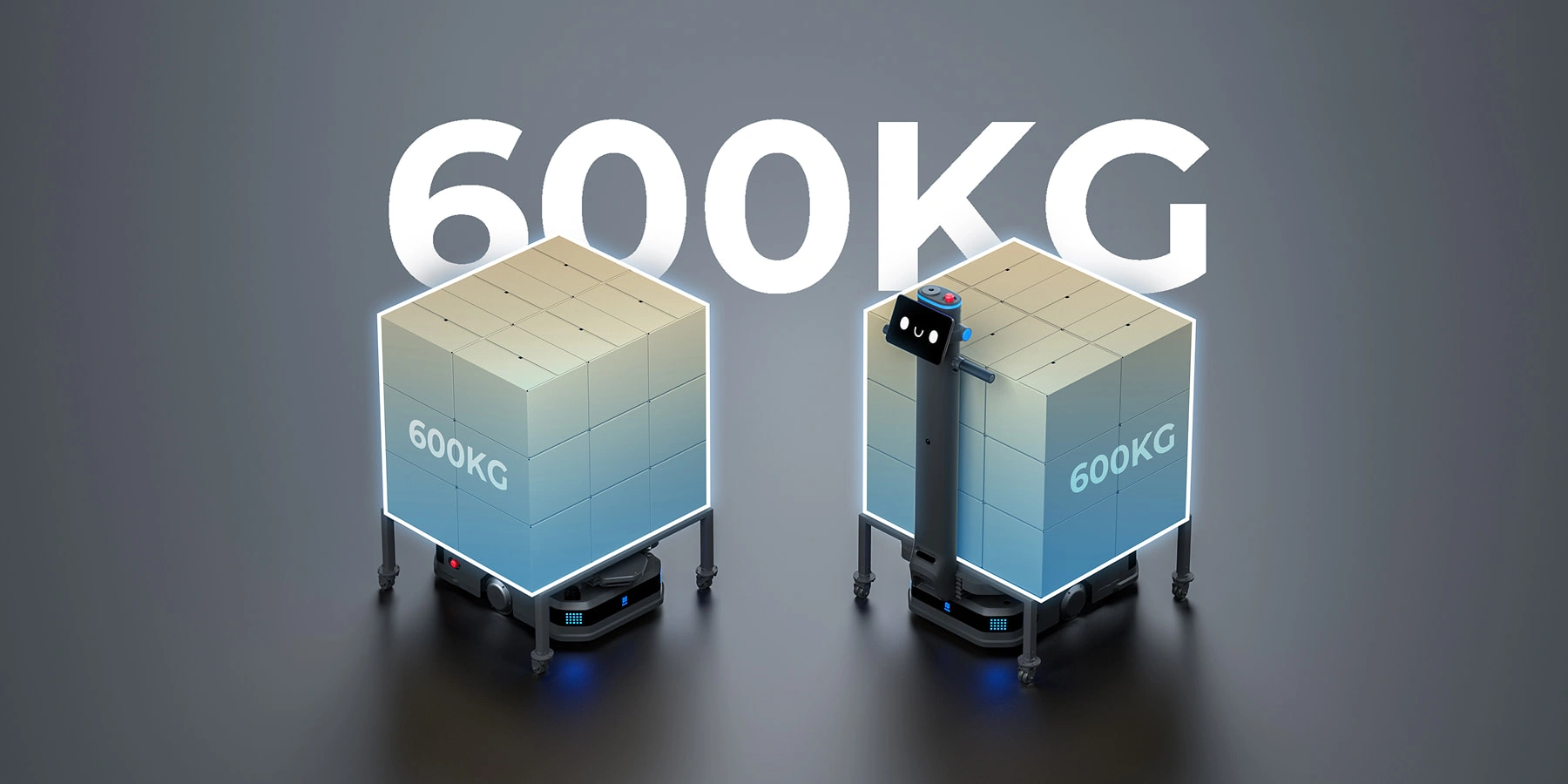 600 kg payload capacity