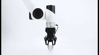 video-image
