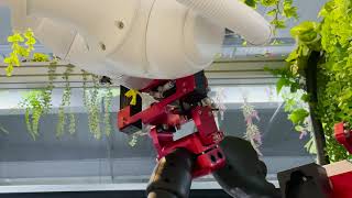 video-image