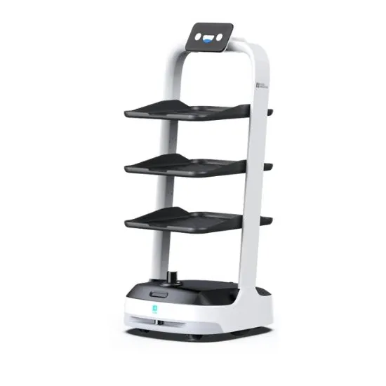 PuduBot 2 universal assistant robot