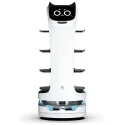 PUDU BellaBot server robot