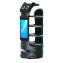 PUDU BellaBot server robot