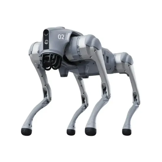 Unitree Go2X Quadruped-Roboter