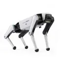 DOBOT Rover X1 Quadruped Robot