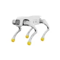 AgiBot D1 Pro Quadruped Robot