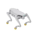 AgiBot D1 Pro Quadruped Robot