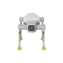 AgiBot D1 Pro Quadruped Robot