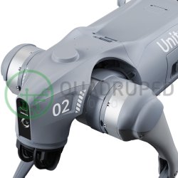 Unitree Go2 Quadruped