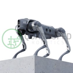Unitree Go2 Quadruped