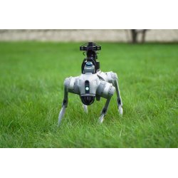 Unitree Go2 Quadruped