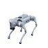 Unitree Go2 Quadruped