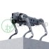 Unitree Go2 Quadruped