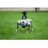 Unitree Go2 Quadruped